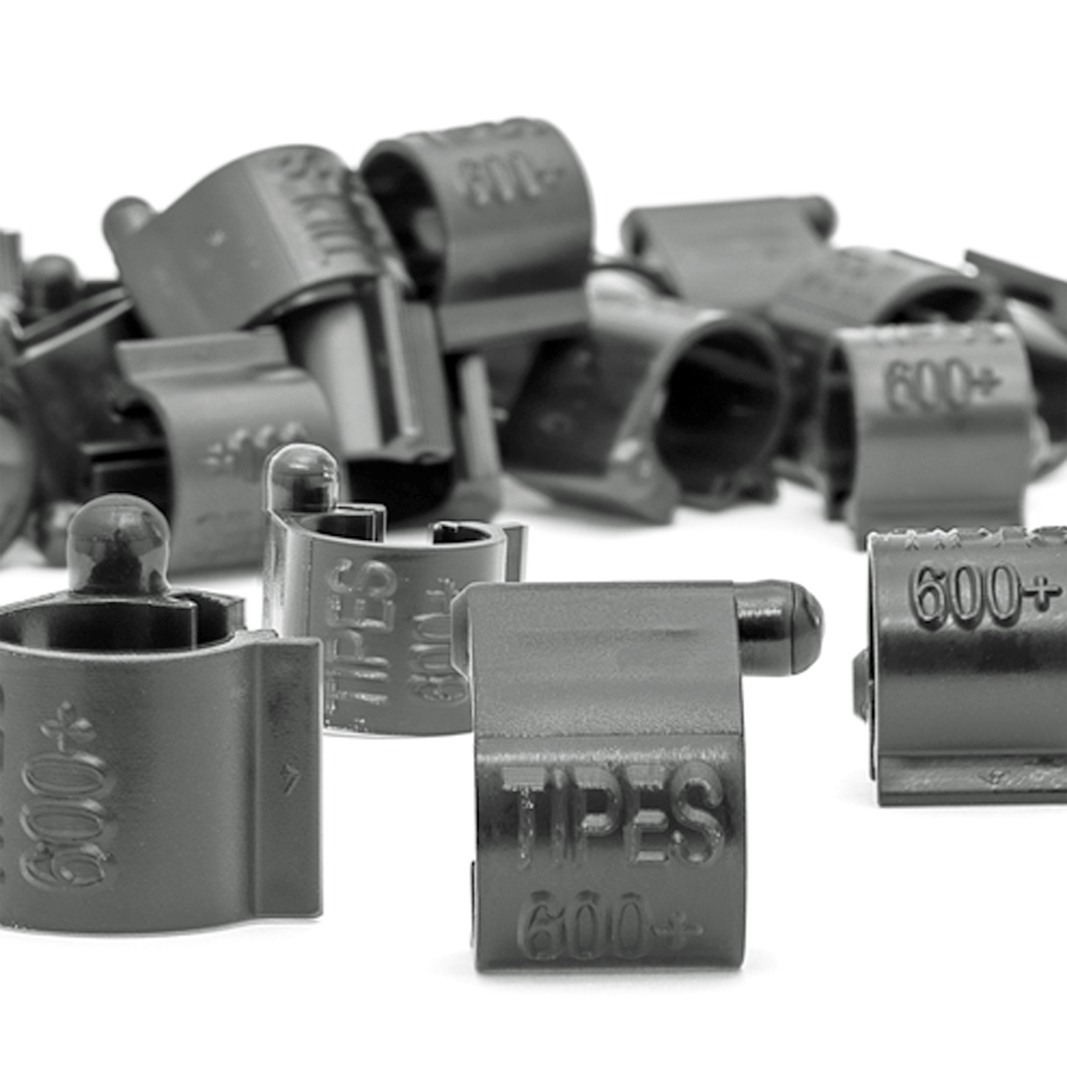 Taubenring Tipes 600+ 50 Stck.